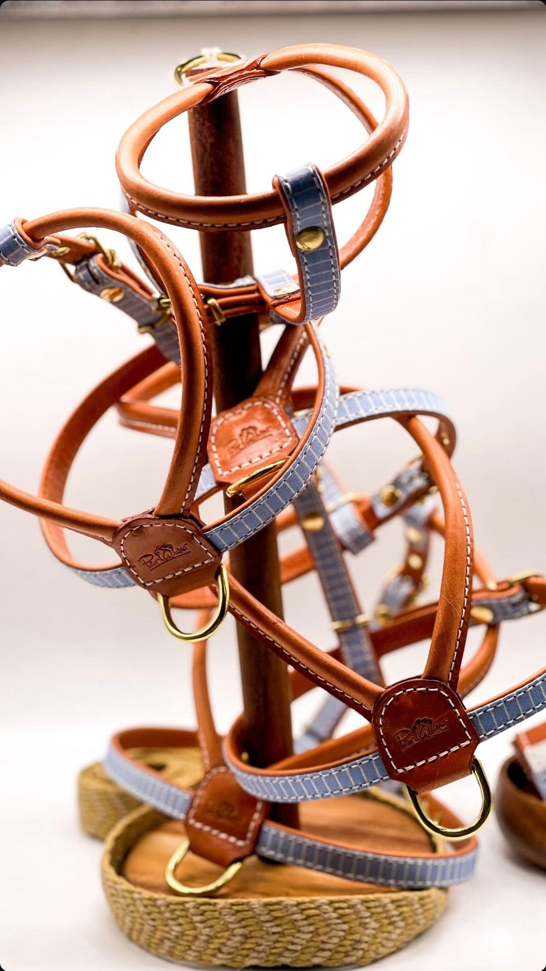 Madrid Dog Harness