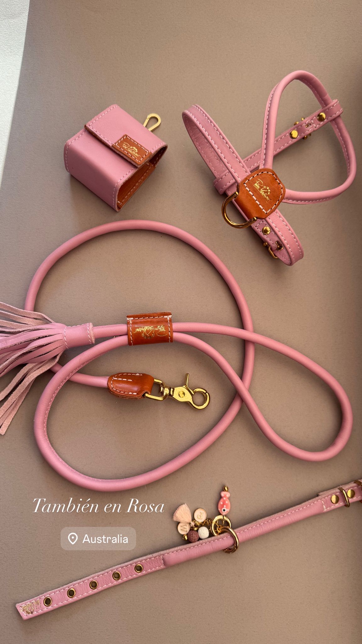 Tokyo Dog Lead