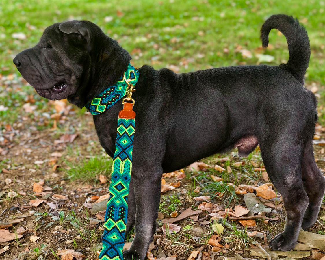 Mexican Collection - Collar + Leash