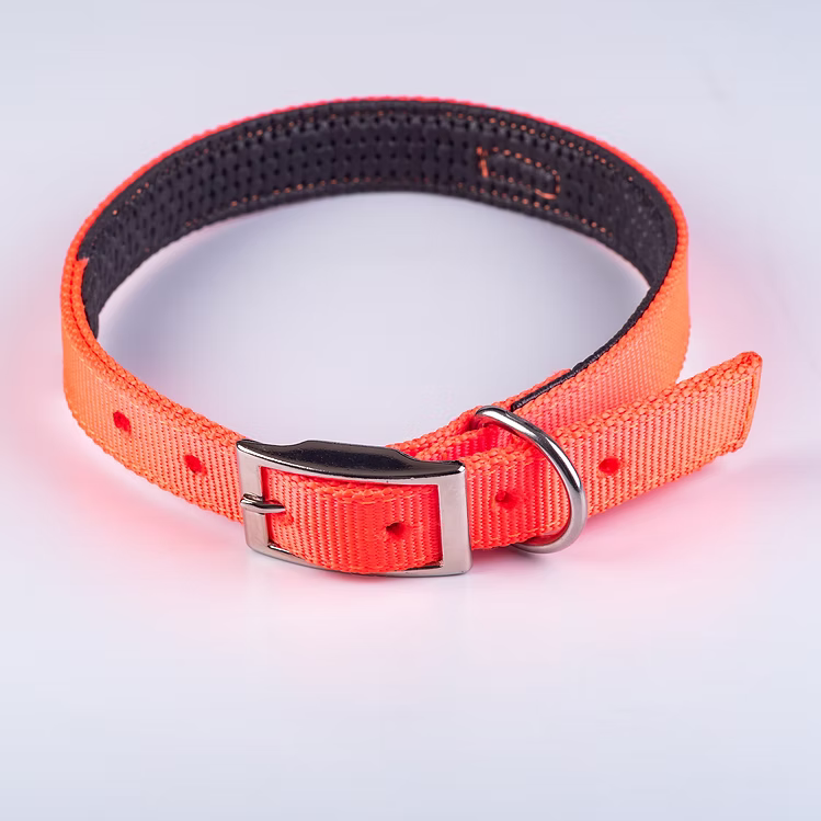 Byron Dog Collar — Riata Braiding Technique