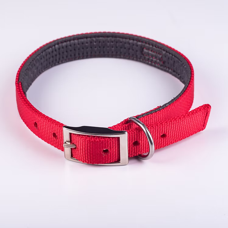 Byron Dog Collar — Riata Braiding Technique