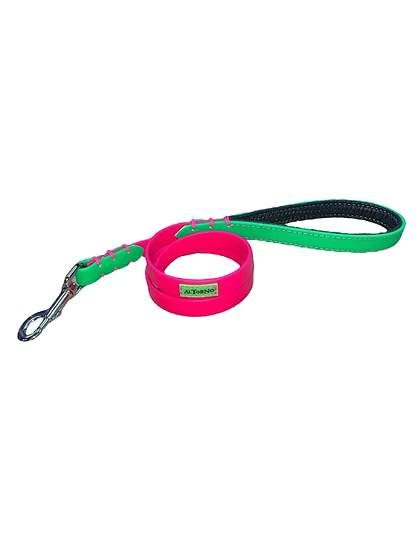 Rio (Double Colour) Dog Lead — Biothane Waterproof