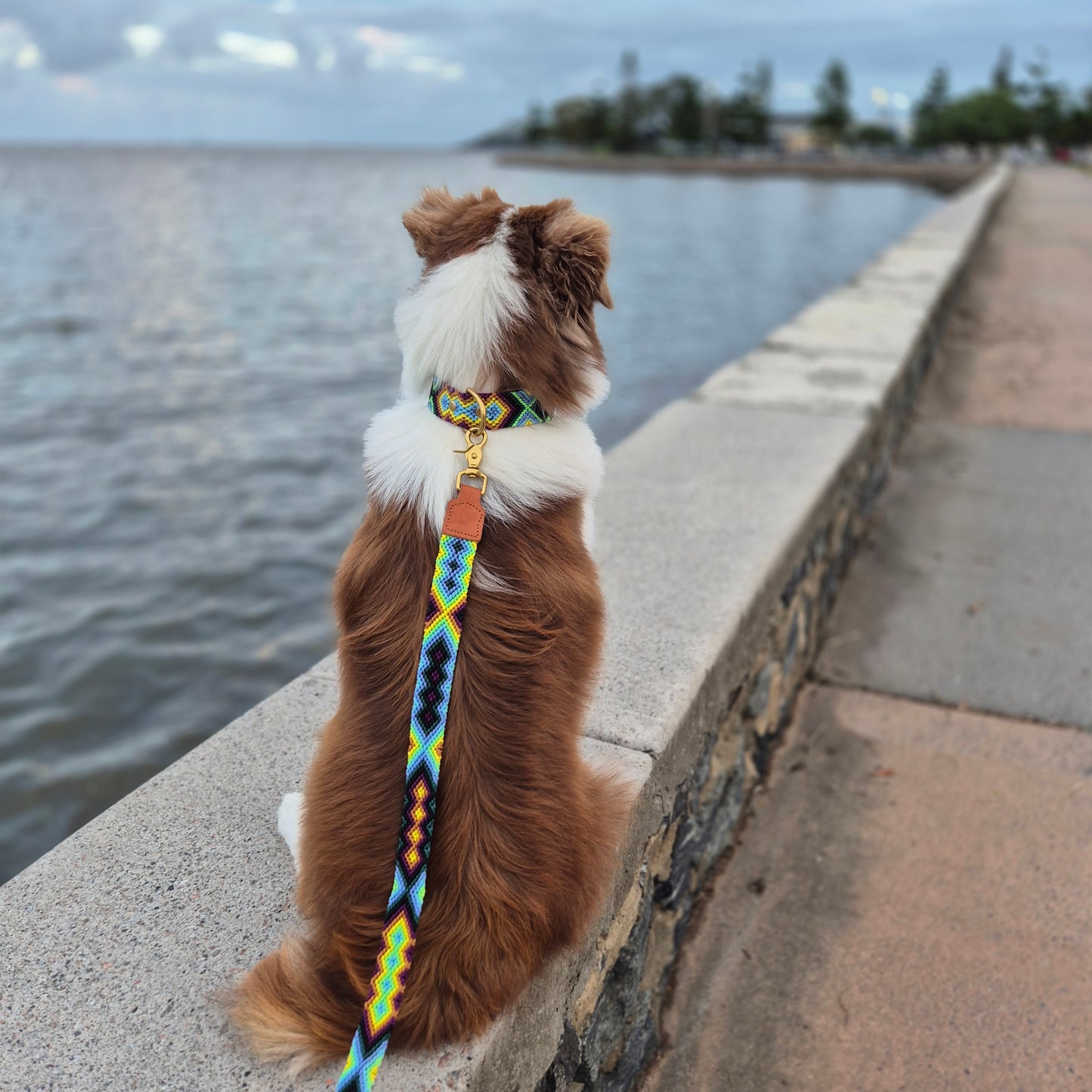 Mexican Collection - Collar + Leash