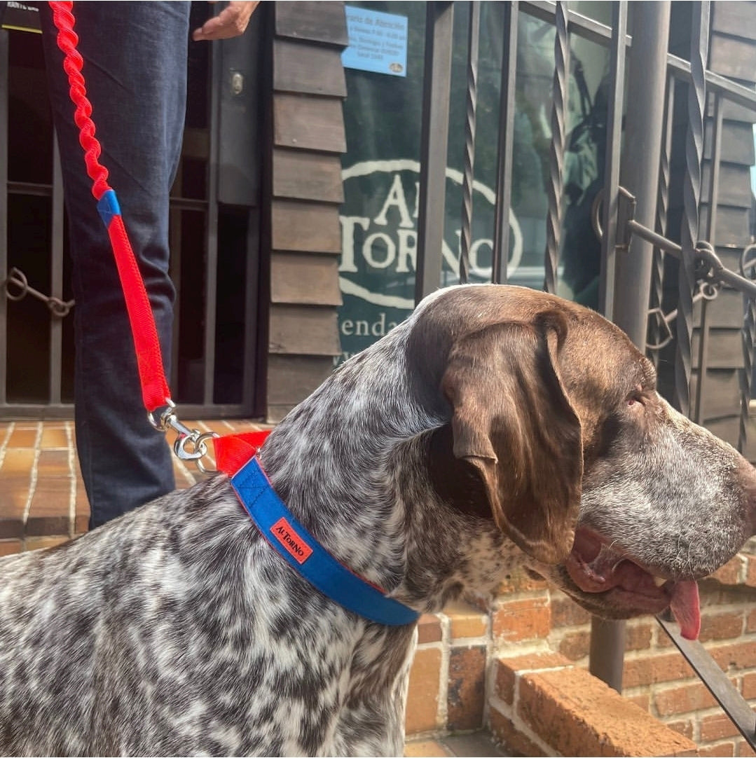 Rio (Double Colour) Dog Lead — Biothane Waterproof