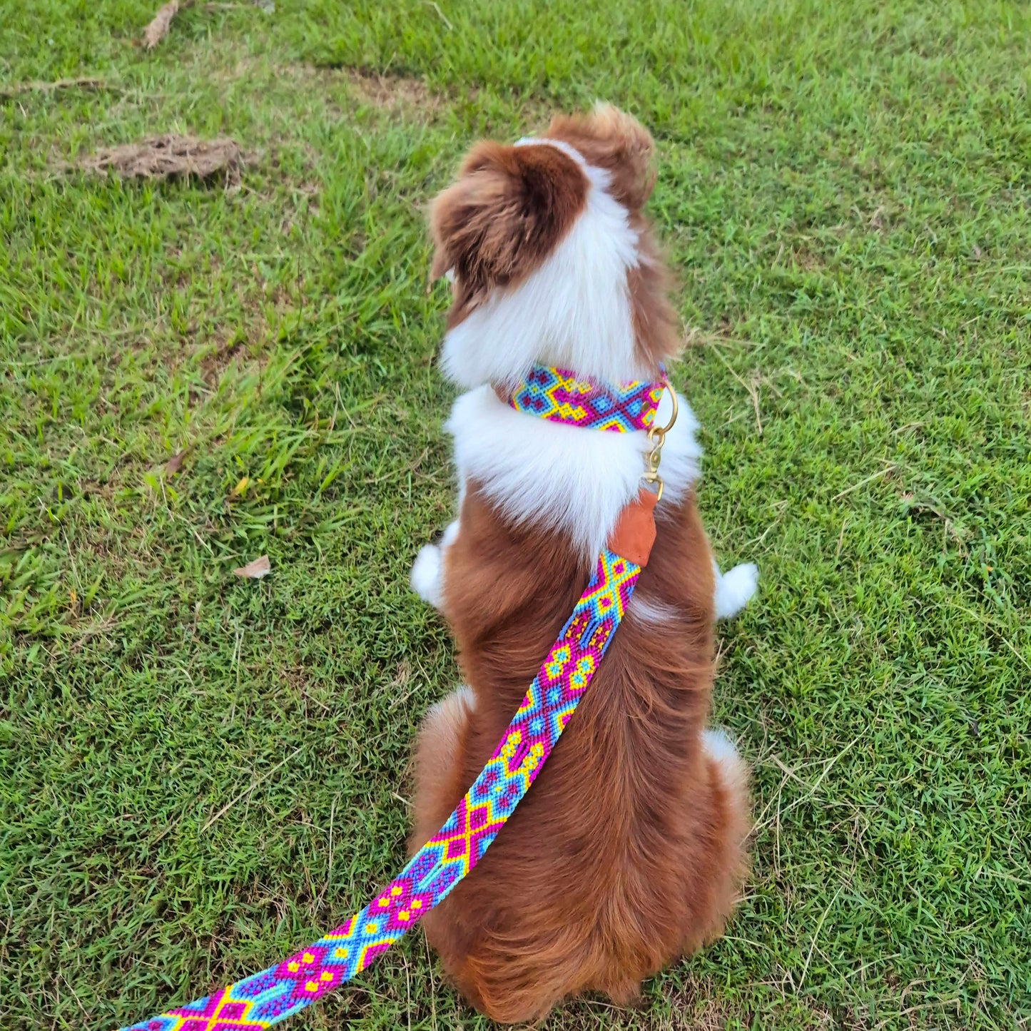 Mexican Collection - Collar + Leash