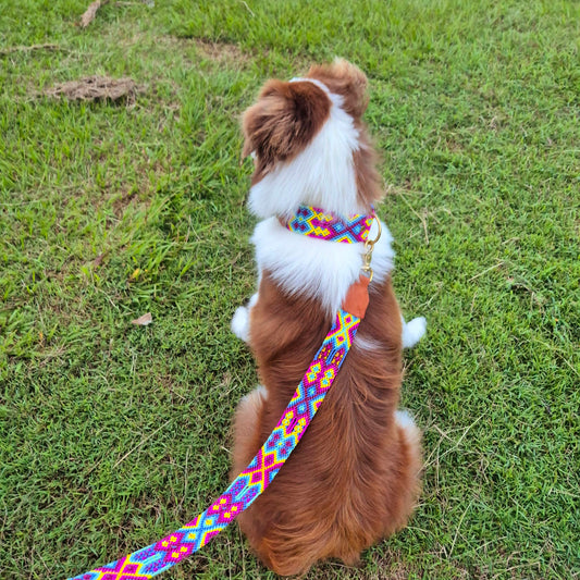 Mexican Collection - Collar + Leash
