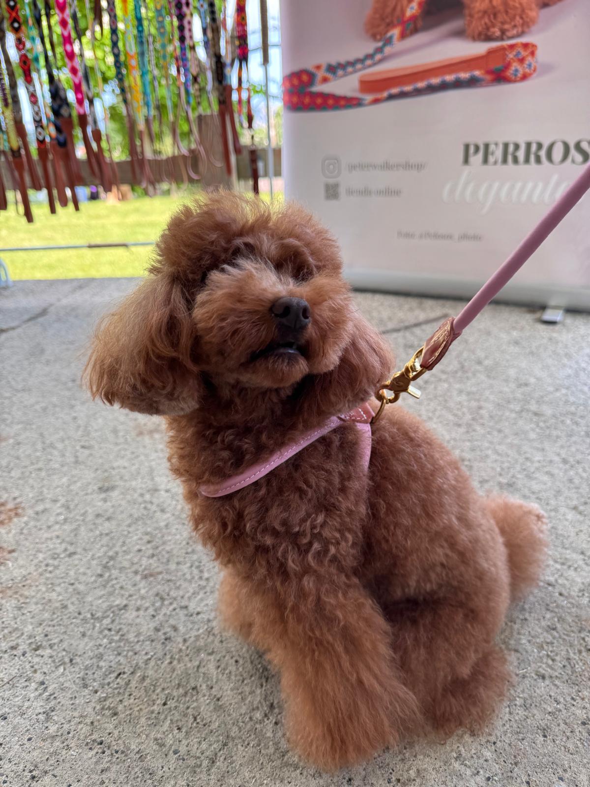 Tokyo Dog Harness