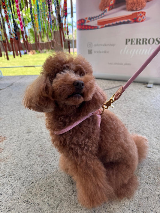 Tokyo Dog Harness