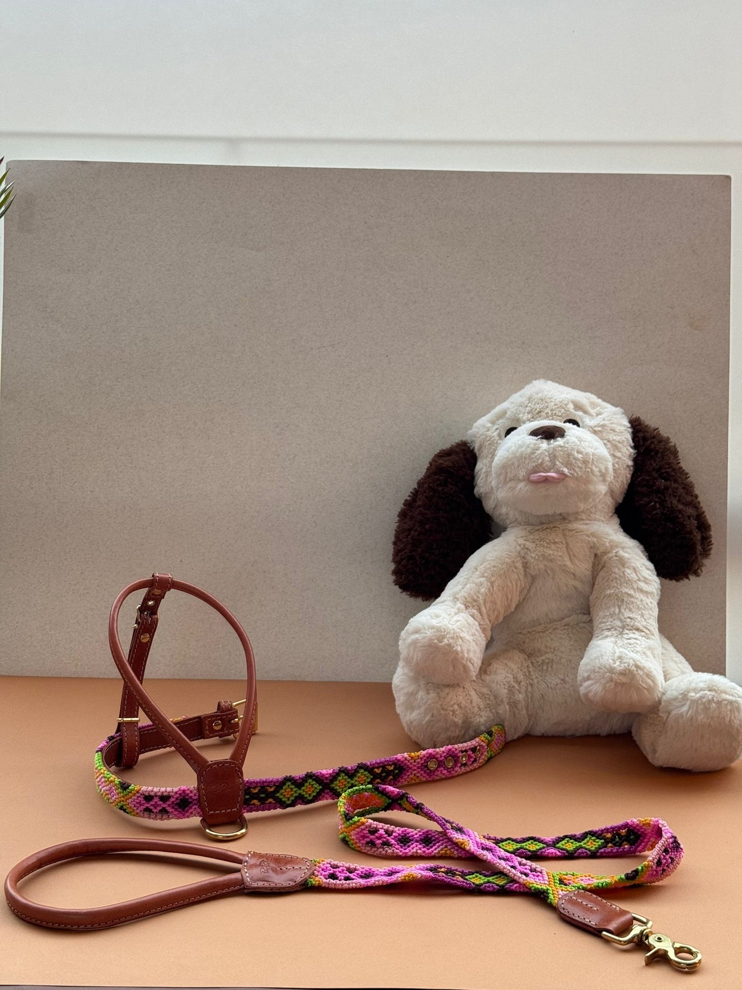 Mexican Set Harness + Leash
